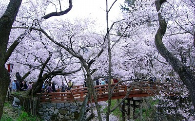 c0078480_09482.jpg