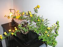 f0017696_17204153.jpg