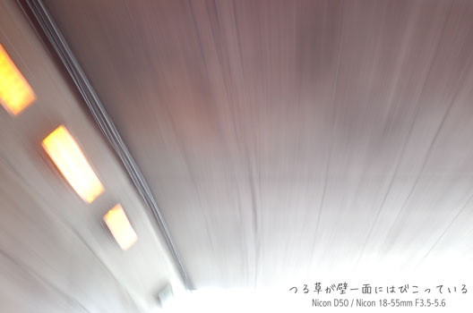a0062697_2321835.jpg