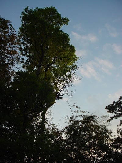 c0049902_20122218.jpg
