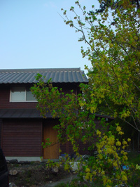 c0049902_20135730.jpg