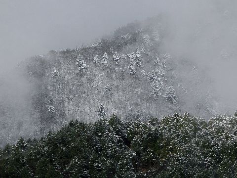 e0103903_20274127.jpg
