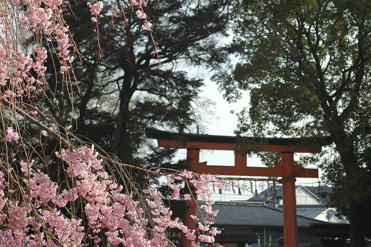 上賀茂神社・・・＃2_a0092804_003670.jpg