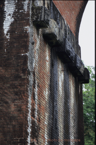 a0094711_21183761.gif