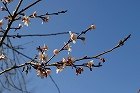e0117318_21565693.jpg