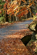 e0117318_2157146.jpg