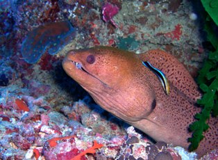 a0043520_2114526.jpg