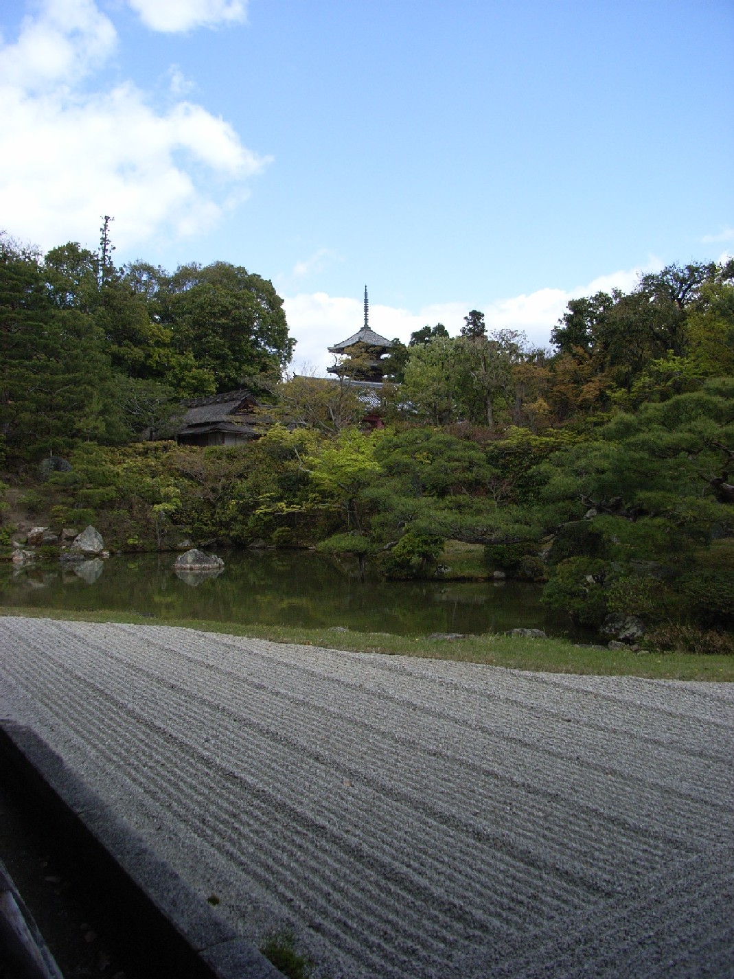 京都春散歩１　　　＋仁和寺＋_a0082536_1483669.jpg