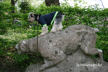 猟犬とバブー_c0024345_8105666.jpg