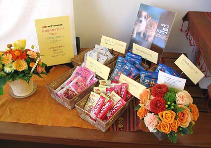 泣けちゃう展示?_a0070350_21591455.jpg