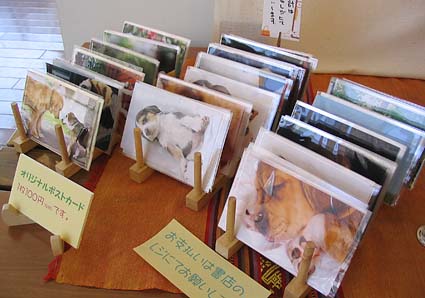 泣けちゃう展示?_a0070350_21593036.jpg