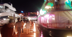 シドニー湾・ディナークルーズ_e0011951_1744449.gif