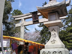 b0054956_21493616.jpg
