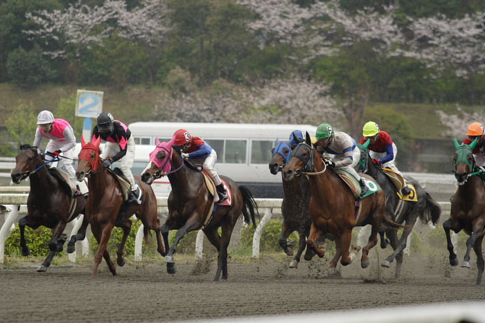 2007年4月7日（土） 高知競馬 3R_a0077663_18461772.jpg