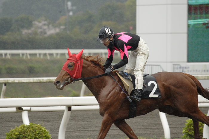 2007年4月7日（土） 高知競馬 3R_a0077663_18463590.jpg