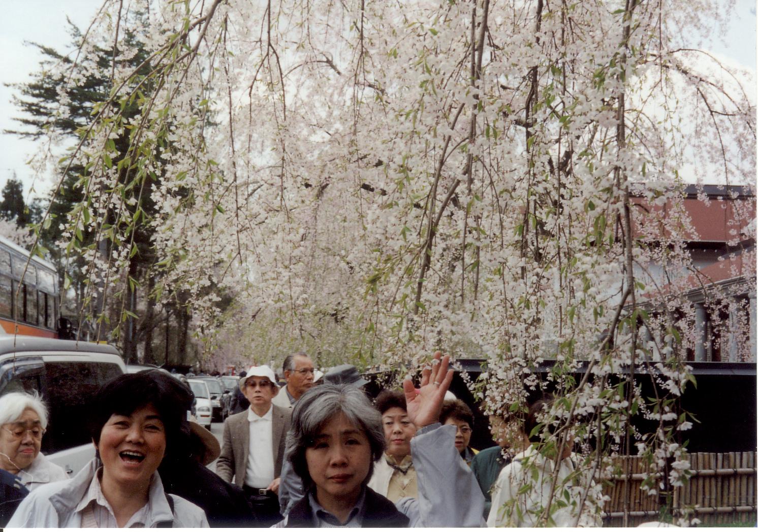 旅日記・角館・遠野_f0129667_10255030.jpg