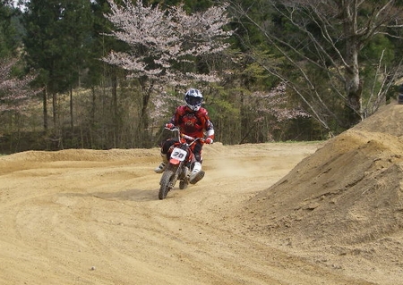 c0035980_20441629.jpg