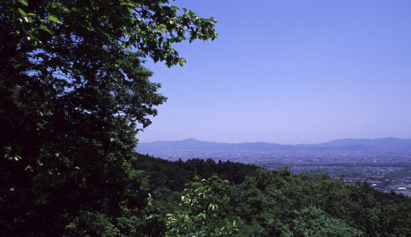 洛西観音巡礼<第5番 華台山 三鈷寺>_a0045381_23412057.jpg