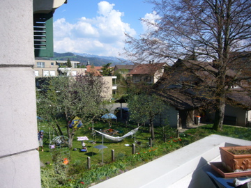 d0072892_57060.jpg