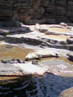 e0102192_20325566.jpg