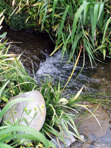 e0034994_1411793.jpg