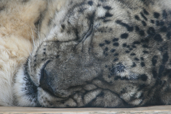 二態_b0016600_936880.jpg