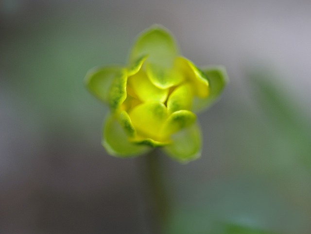 e0039703_23524279.jpg