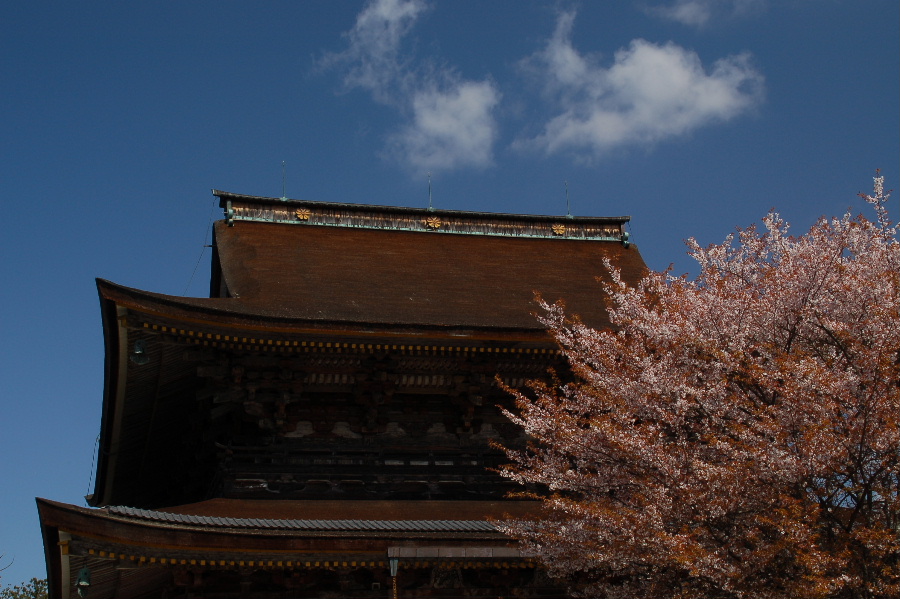 花の吉野山（下）_c0062621_9331333.jpg