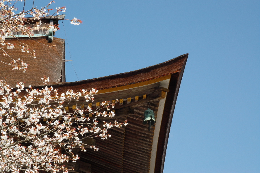 花の吉野山（下）_c0062621_9333072.jpg