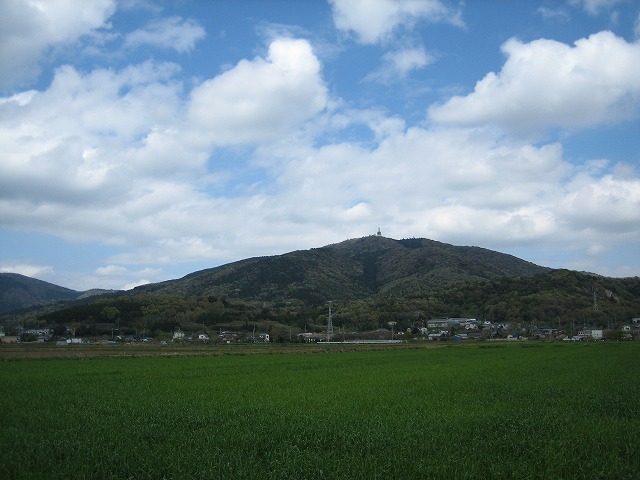 春の風景_b0100229_14591652.jpg