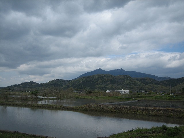 春の風景_b0100229_1534877.jpg