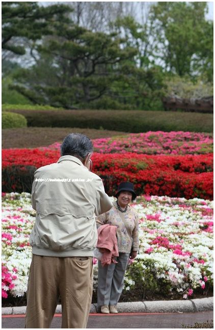 川口グリ－ンセンタ－のスナップ_e0052135_22141785.jpg