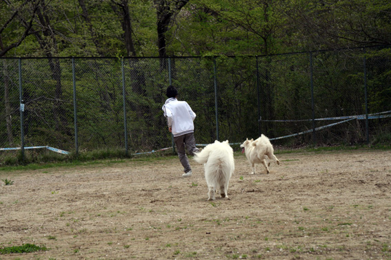 c0035838_87462.jpg