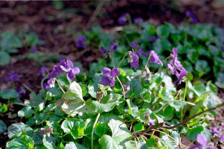 f0114339_21342926.jpg