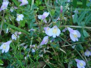 c0108460_21472068.jpg