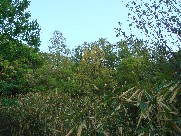 c0108460_21482157.jpg