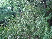 c0108460_21492170.jpg