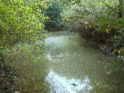 c0108460_214956100.jpg