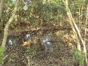 c0108460_21502466.jpg