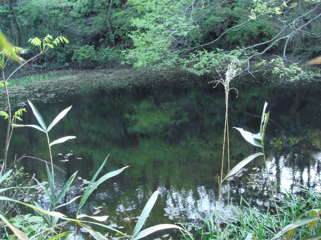 c0108460_2154794.jpg