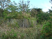 c0108460_2156071.jpg