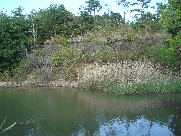 c0108460_21563036.jpg
