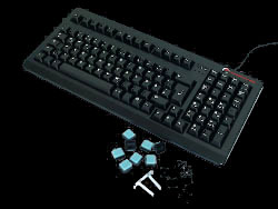 「RAPTOR-GAMING K1」を、踏みとどまる。_c0004568_2225245.jpg