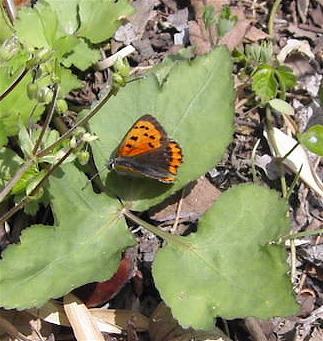 a0061977_14474486.jpg