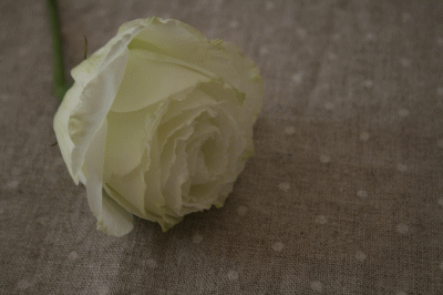 d0100192_2033899.gif