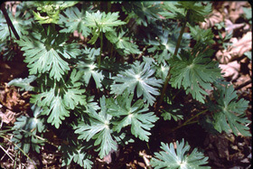 c0104793_10303243.jpg