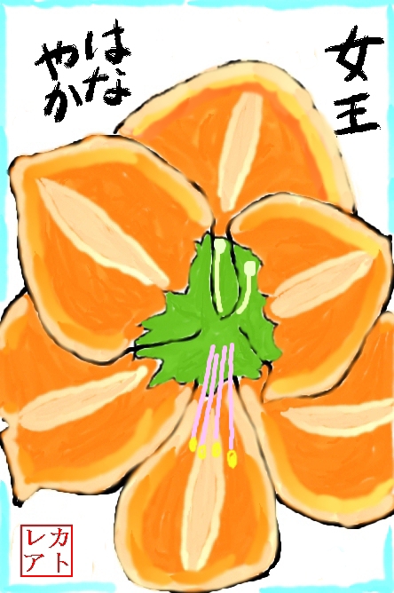 絵手紙 春 アマリリス 複色 ヒガンバナ科 球根草 花と自然の散歩道