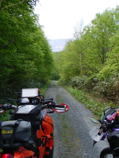 b0050305_1483179.jpg