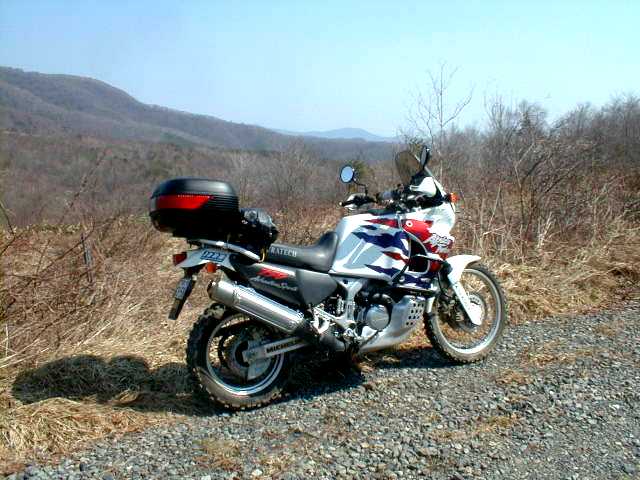 b0050305_157187.jpg
