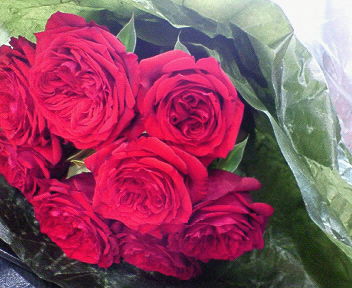 e0001406_20292925.jpg